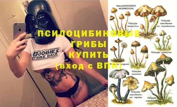 сатива Арсеньев