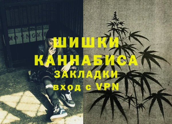 сатива Арсеньев