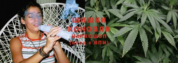 сатива Арсеньев