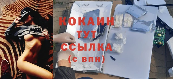 сатива Арсеньев