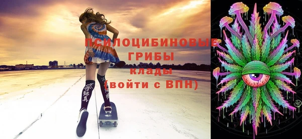 сатива Арсеньев