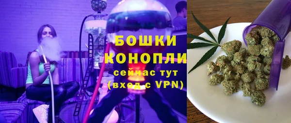 сатива Арсеньев