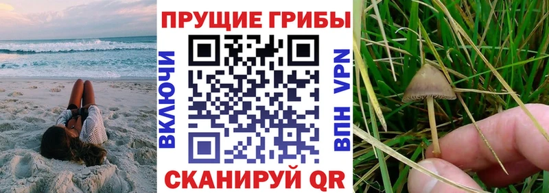 как найти наркотики  blacksprut   Галлюциногенные грибы Magic Shrooms  Покачи 